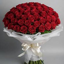 Букет 101 Красная роза Блэк Мэджик в Нижнем Ломове