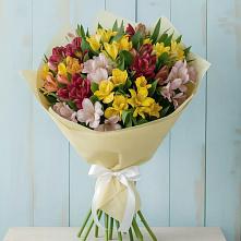 Букет цветов из:  Альстромерии #REPLACE_PRED# Нижнем Ломове