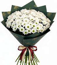 Букет цветов из:  Хризантемы в Нижнем Ломове