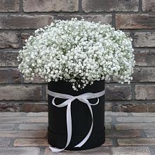 Цветочная композиция из Гипсофила в шляпной коробке в Нижнем Ломове