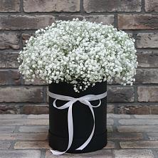 Цветочная композиция из Гипсофила в шляпной коробке в Нижнем Ломове