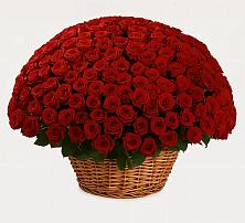 Премиум букет из: Розы в Нижнем Ломове