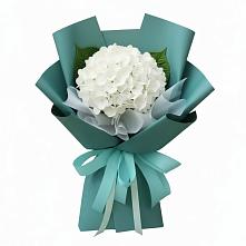 Букет цветов из:  Гортензия в Нижнем Ломове